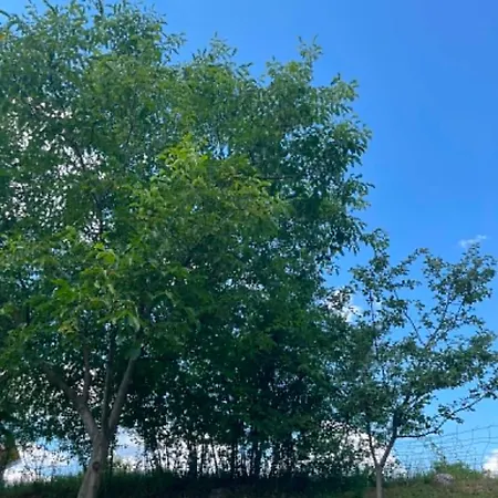 Apartamento Adi Podastrana