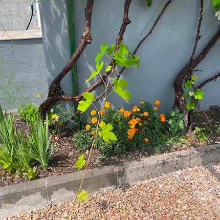 Apartamento Adi Podastrana