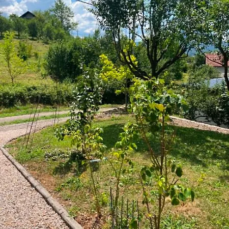 Adi Podastrana